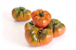 tomate raf 1